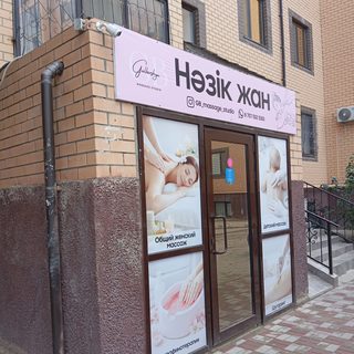 Нәзік жан, логотип