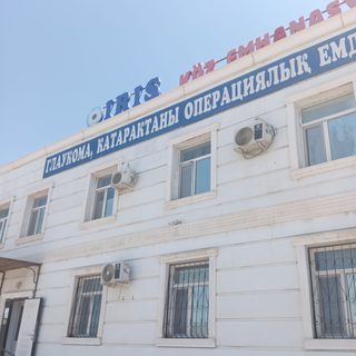 IRIS, логотип