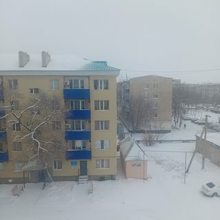 Cosa Nostra, логотип