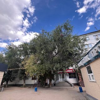 логотип компании