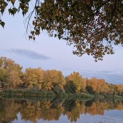 логотип компании