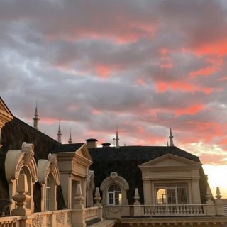 Центр нутрициологии, логотип
