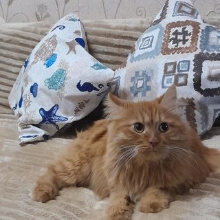 логотип компании