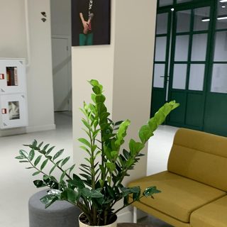 логотип компании