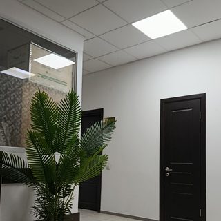 Biosmile, стоматологическая клиника, логотип