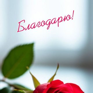 Сымбат Дент, стоматология, логотип