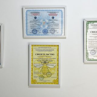 логотип компании