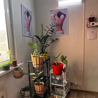 логотип компании