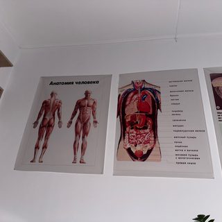 логотип компании