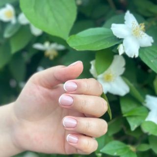 akonia_nails, logo