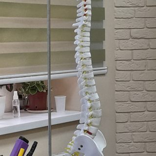Scolioclinic.kz, логотип