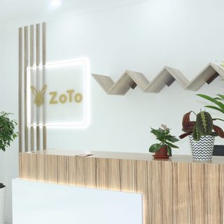 ZoTo, logo