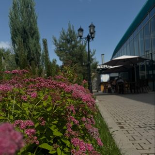 логотип компании