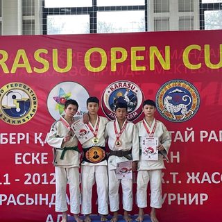 Карасу, логотип
