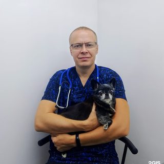 Джесси, логотип