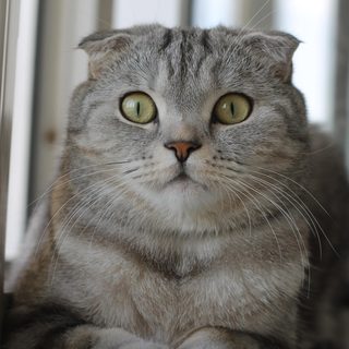 Экви Лаб, логотип