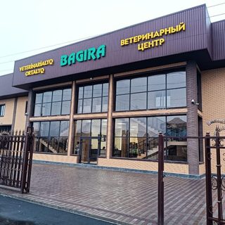 Ветеринарный Центр Багира, логотип