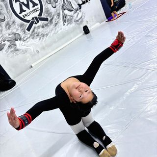 VM brothers jiu-jitsu team, логотип
