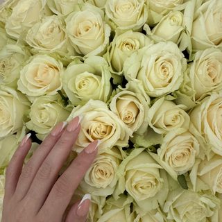 Gaziza, логотип