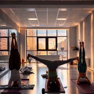 Yoga_Y, логотип