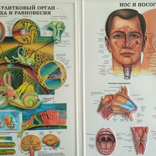 логотип компании