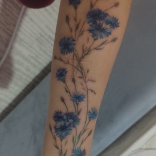 SevenArtStudio, логотип