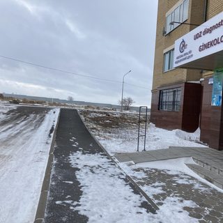 Симур, logo