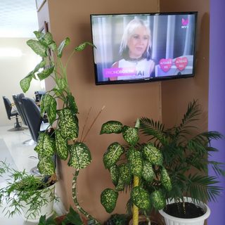 логотип компании