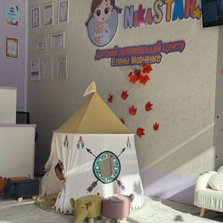Nika Star, логотип