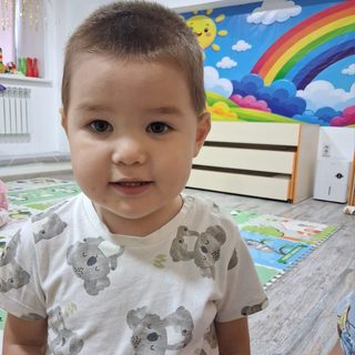 Зерек, логотип