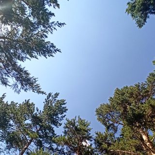 Экопарк, логотип