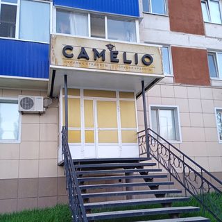 логотип компании