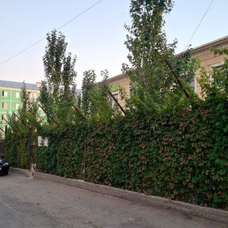 логотип компании