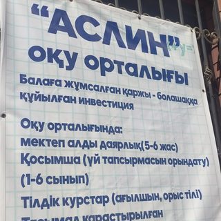 Аслин, логотип