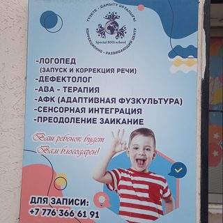 Special BNS school, логотип