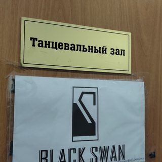 Black swan, логотип
