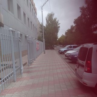 shugaring_pvl_liliya_, логотип