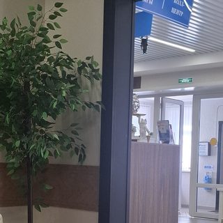 логотип компании