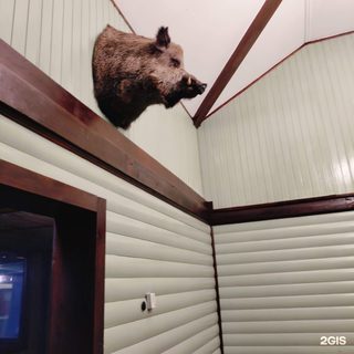 логотип компании