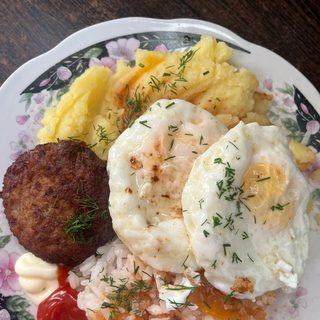 Тассай құс, логотип