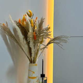 NOLA laser studio, логотип