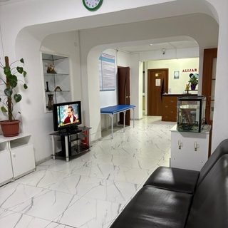 логотип компании