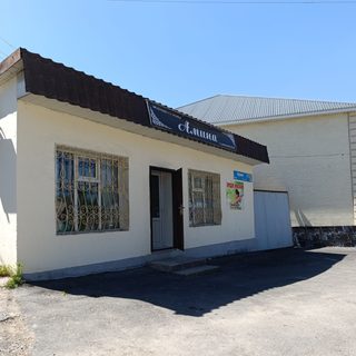 Амина, салон красоты, логотип