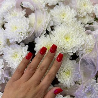 Nail Dami, логотип