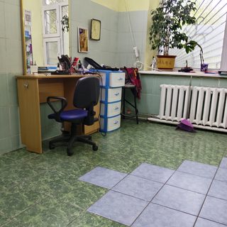 Фин, логотип