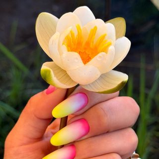 Soroka nail, логотип
