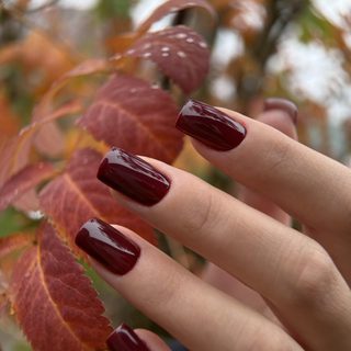 Elly, мир красоты, логотип