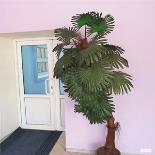 Медицинский центр Зиновьева, логотип