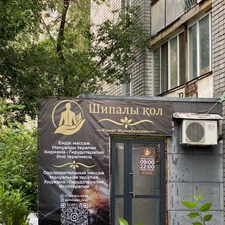 Шипалы қол, логотип