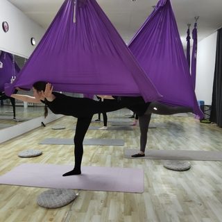 Darina fly, cтудия танцев и аэростретчинга, логотип